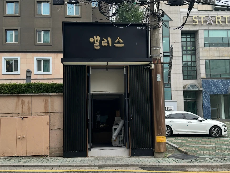 앨리스 사진 4