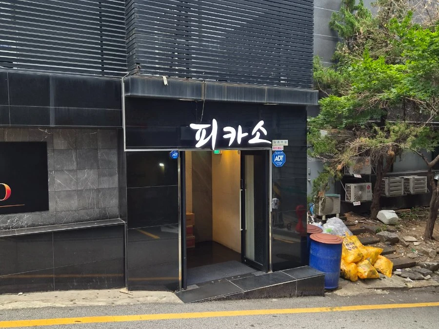 피카소 사진 7