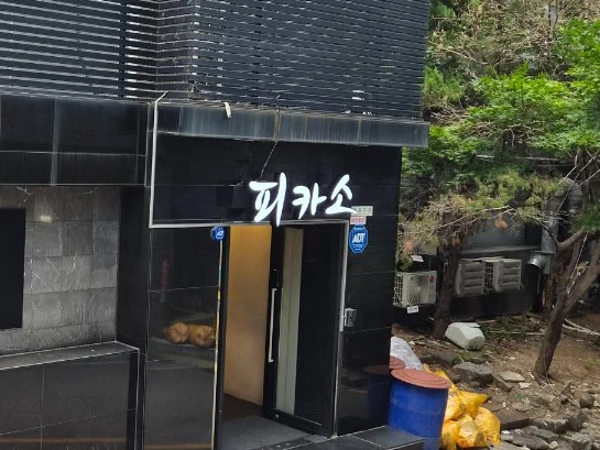 피카소 사진 8