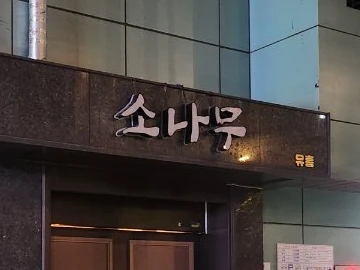 소나무 사진 2